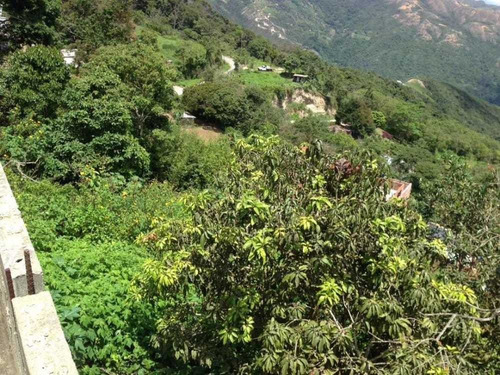 Imagen 16 de 17 de Se Vende Galpón 1450m2 El Junquito Km 14