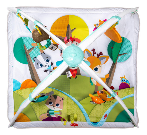 Gimnasio En El Bosque De Lujo Tiny Love