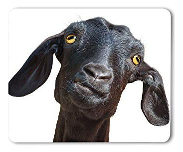 Mouse Pad De Cabra Negra Moslion - Divertido Y Adorable