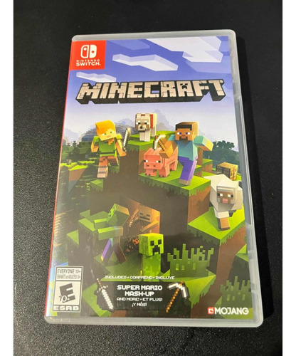 Minecraft Nintendo Switch