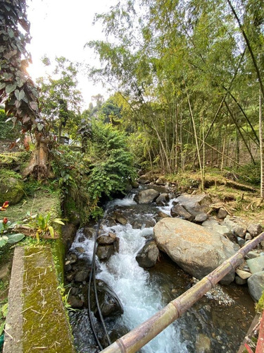 Pance, 21.000 M2, Finca En Venta