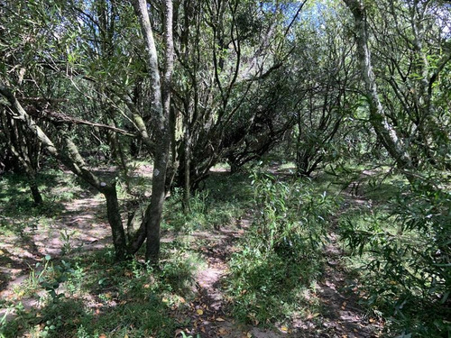 10 Has De Campo Sobre Ruta 13 A Minutos De Aiguá. Un Lugar De Descanso Ideal!