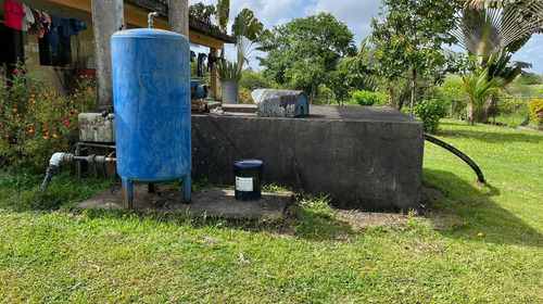 Imagen 23 de 25 de Bella Finca Operativa Ubicada En El Palmar, Estado Bolivar
