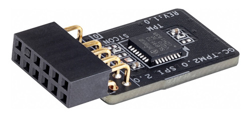 Imagen 3 de 3 de Modulo Tpm Gigabyte Gc-tpm2.0_spi 2.0
