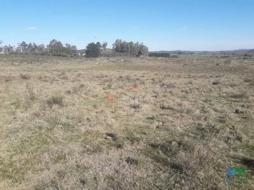 Campasos Ganaderos En Aigua A 1 Hora De Punta