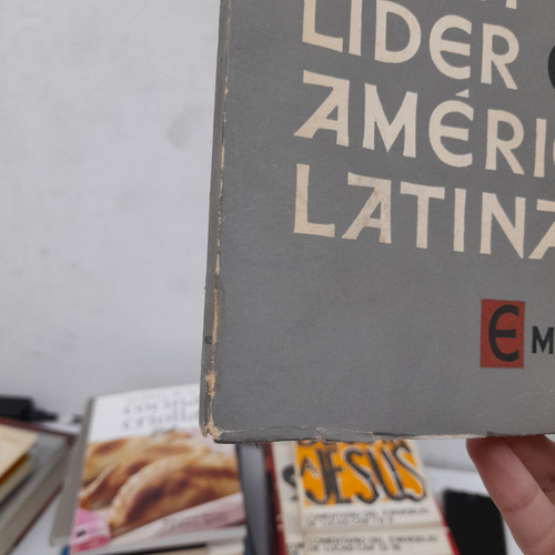 ¿china Roja Líder En A. Latina? (detalle). O. Rosarios (Usado)