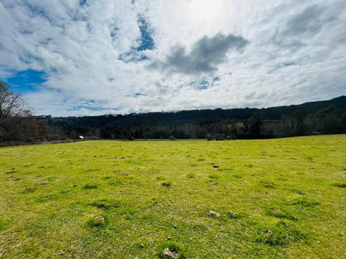 Se Vende Proyecto Aprobado Por Sag Panguipulli Los Lagos