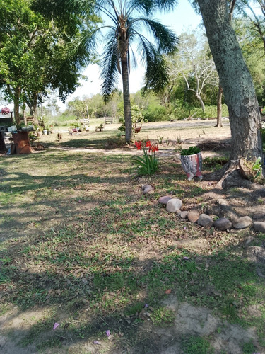 Quinta