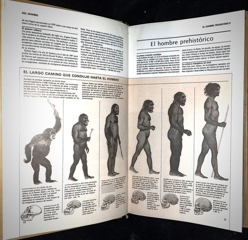 Hechos Y Pormenores, De Selecciones Del Reader's Digest (Usado)
