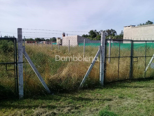 Imagen 3 de 12 de Terreno En Venta O Permuta Ubicado En General Rodríguez, General Rodríguez