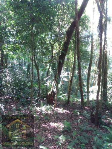 Imagem 2 de 3 de Chacara - Ch00028 - 33606183