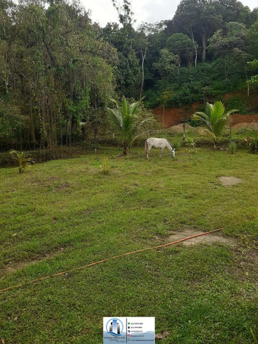 Imagem 16 de 18 de Chácara Em Barão De Guandu, Nova Iguaçu/rj De 20000000m² 1 Quartos À Venda Por R$ 400.000,00 - Ch1839006-s