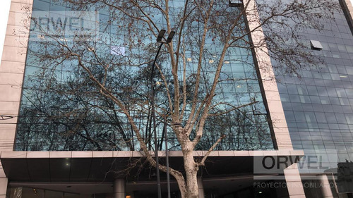 Oficina 233 Mts - 3 Cocheras - Excelente Planta !!!