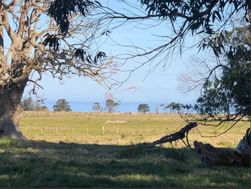 Chacra En Venta En Rocha, Zona Las Garzas