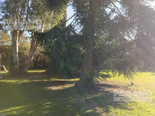 Imagen 3 de 3 de Terreno - La Plata