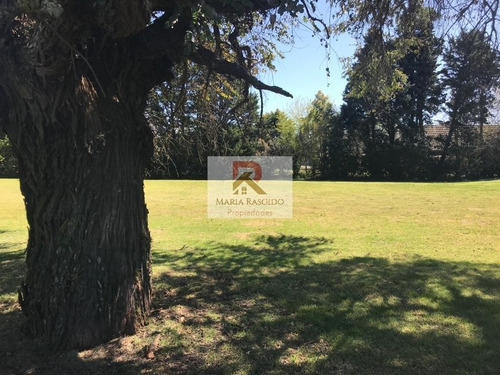 Terreno Lote  En Venta Ubicado En San Diego, Francisco Álvarez, Moreno