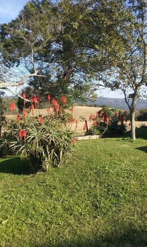 Imagem 17 de 30 de Sítio Com 4 Dormitórios À Venda, 60000 M² Por R$ 375.000 - Viamão - Viamão/rio Grande Do Sul - Si0018