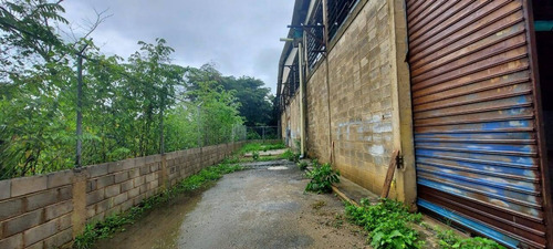 Imagen 6 de 8 de Galpon En Venta En El Sector Rafael Urdaneta Zona Ind, El Recreo Valencia Cód 162382 Acv