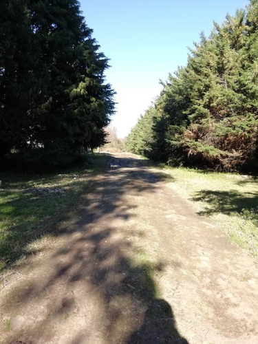 Imagen 7 de 13 de Venta De 1 Hectárea En Pilar A Metros De Ruta 28