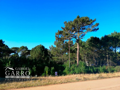 Imagen 2 de 5 de Lote En Venta, Pinamar, Alamos Ii