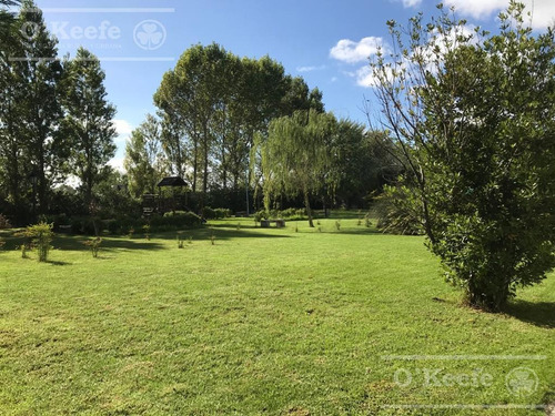 Imagen 7 de 28 de Departamento En Venta De 3 Ambientes En Altos De Sol, Berazategui