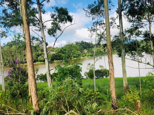 Imagem 6 de 14 de 01- Terrenos Documentados Na Frente Da Represa Em Igaratá !