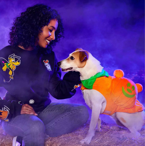 Disfraz Calabaza Mascotas Brilla Oscuridad Medium Disney