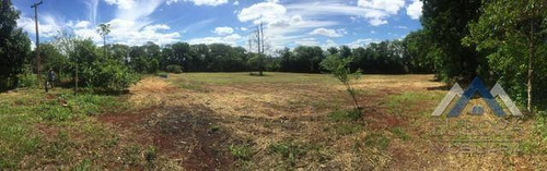 Imagem 6 de 6 de Terreno À Venda, 5000 M² Por R$ 600.000,00 - Distrito Espírito Santo - Londrina/pr - Te0507