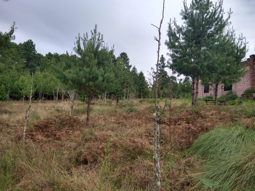 Imagen 4 de 14 de Rancho En Venta En Agua Blanca Pachuca Hidalgo
