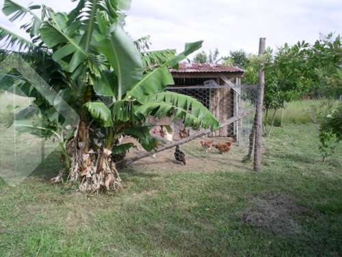 Imagem 13 de 15 de Chacara/fazenda/sitio - Restinga - Ref: 192994 - V-192994