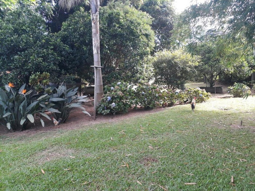 Imagem 7 de 18 de Fazenda À Venda, 63000 M² Por R$ 2.500.000,00 - Campo Bonito - Torres/rs - Fa0002