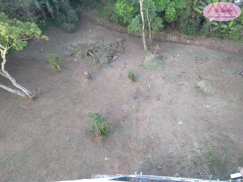 Imagem 11 de 15 de Terreno Para Venda Em Rio Grande Da Serra, Vila Guiomar - 0703a/202_2-1118895
