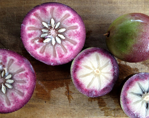 05 Sementes Orgânicas De Abiu Roxo P/ Plantio