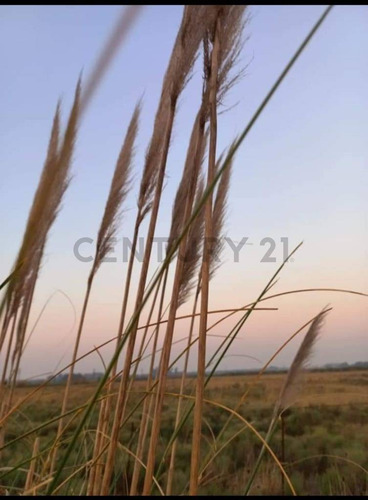 Imagen 3 de 15 de Espectacular Campo De 33 Hectáreas En Venta Con Casco Y Dos Galpones, Rp6