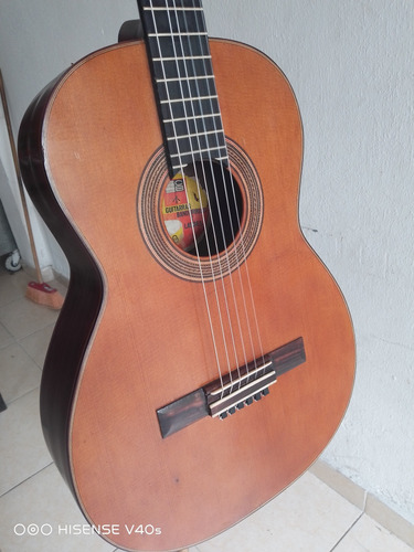 Guitarra Hecha En España Aros De Palo Santo Diapasón Ébano 