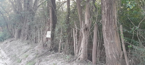 Imagen 6 de 7 de Terreno - Las Calles