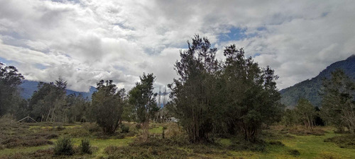 Se Vende Terreno En Venta De 5000 M2 Con Casa (81888)
