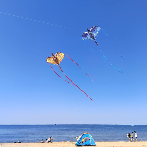Cometa Dragón Grande Para Adultos Y Niños, Fácil De Volar
