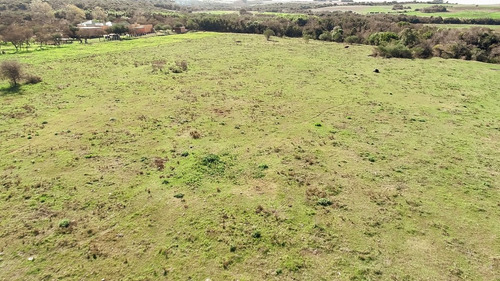 Imagen 10 de 12 de Chacras Venta Nueva Palmira Sobre Arroyo Navegable