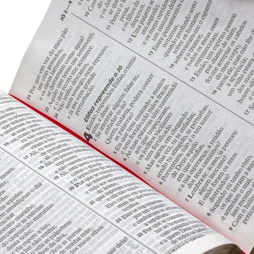 Bíblia Sagrada Letra Grande Almeida Revista E Atualizada Sbb