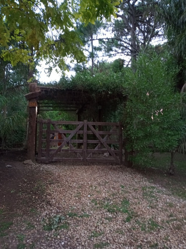 Imagen 20 de 24 de Cabaña En El Bosque Costa Del Este,2 Pers! Vacac.invierno