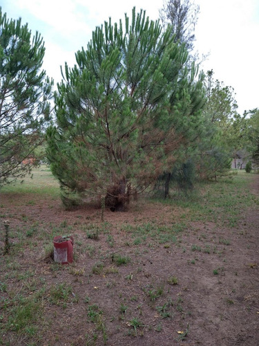 Imagen 4 de 18 de Espectacular Casa Quinta Ubicada En Virrey Del Pino, Partido De La Matanza. Superficie De 5.013m2