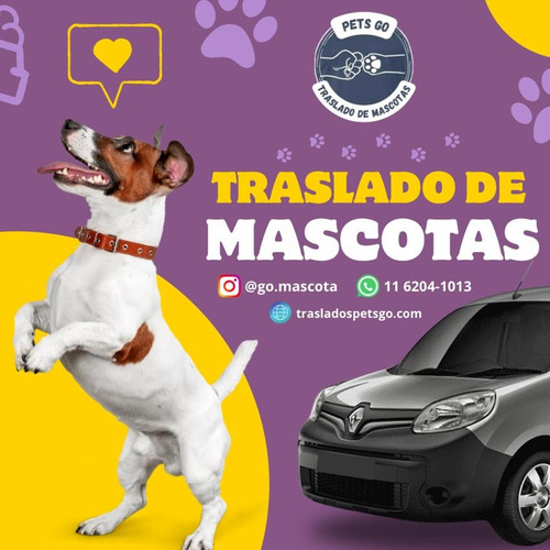 Traslado De Mascotas Terrestre Y Aéreo.