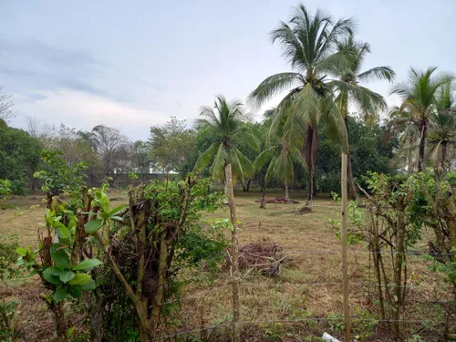 Lote Con Amplias Posibilidades De Desarrollo Cod 18401