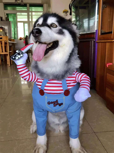 Disfraz Divertido De Cachorro De Halloween