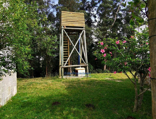 Rocha Venta O Renta Muy Buen Campo 912 Hectareas