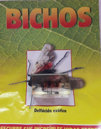 Bichos - Delfacido Exotico   + Fascículo - Rba