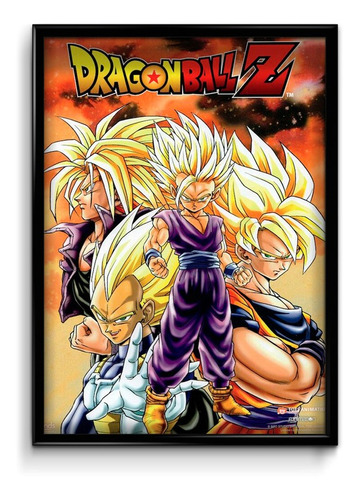 Cuadro Dragon Ball M2  30 X 40 Marco + Lámina + Vidrio