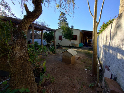 Mini Sítio Com Ampla Casa