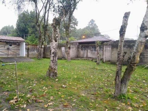 Imagem 7 de 14 de Edícula Estilo Chácara De 855 Metros Em Itanhaém Litoral Sul